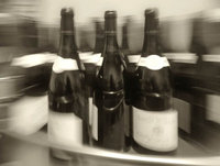 Daily Gossip What's Hot Today on Wine Blogs?