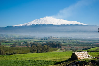 Beginning of the Harvest on Etna with Reseca, "The Clos that reaches the Sky"
