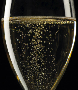 Champagne : "Unless climate catastrophe, we should start harvesting in the second fortnight of August"
