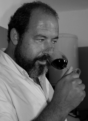 Harvest in Europe: First indications from the Best Winemakers