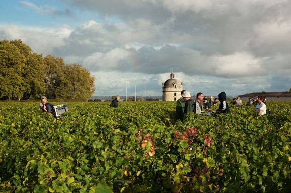 Chateau Latour: an admittance that their initial strategy is not working?