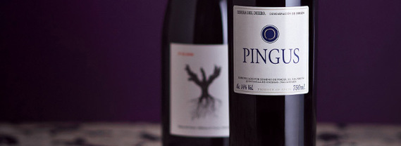 10 Things Every #Wine Lover Should Know About Dominio de Pingus