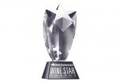 WSAaward-77d33d44