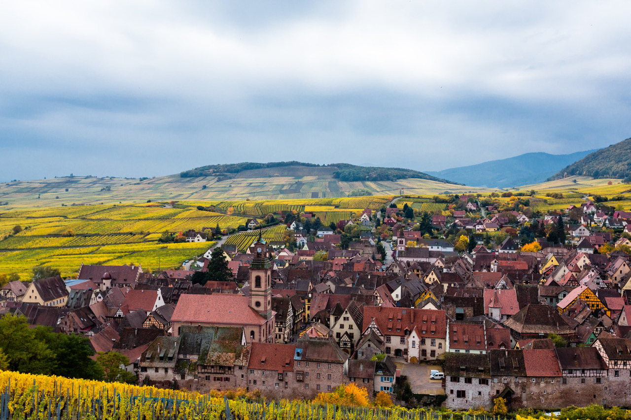 Weinberge_Riquewihr_1362